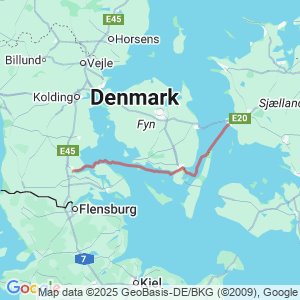 Spidsgrisen vender hjem